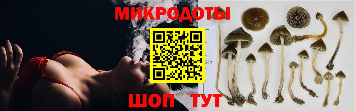 Псилоцибиновые грибы прущие грибы  Вход с VPN  Псилоцибиновые грибы Magic Shrooms  Белогорск 